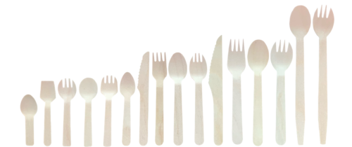 Disposable Bamboo Cutlery Set