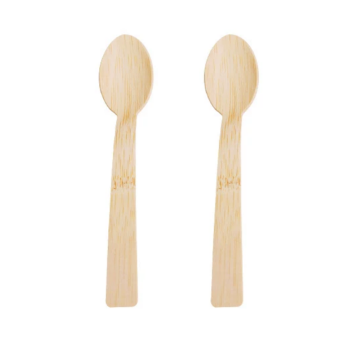 Disposable Bamboo Spoon 6.7 Inch