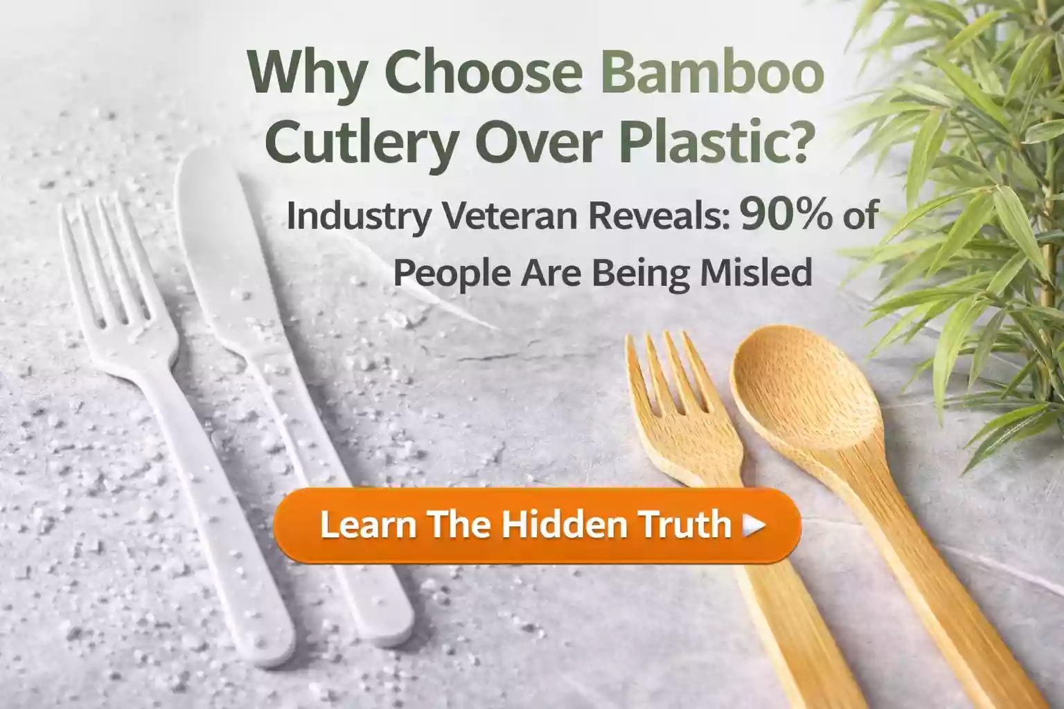 Why Choose Bamboo Cutlery Over Plastic? Industry Veteran Reveals: 90% of People Are Being Misled by the "Eco-Friendly Illusion"