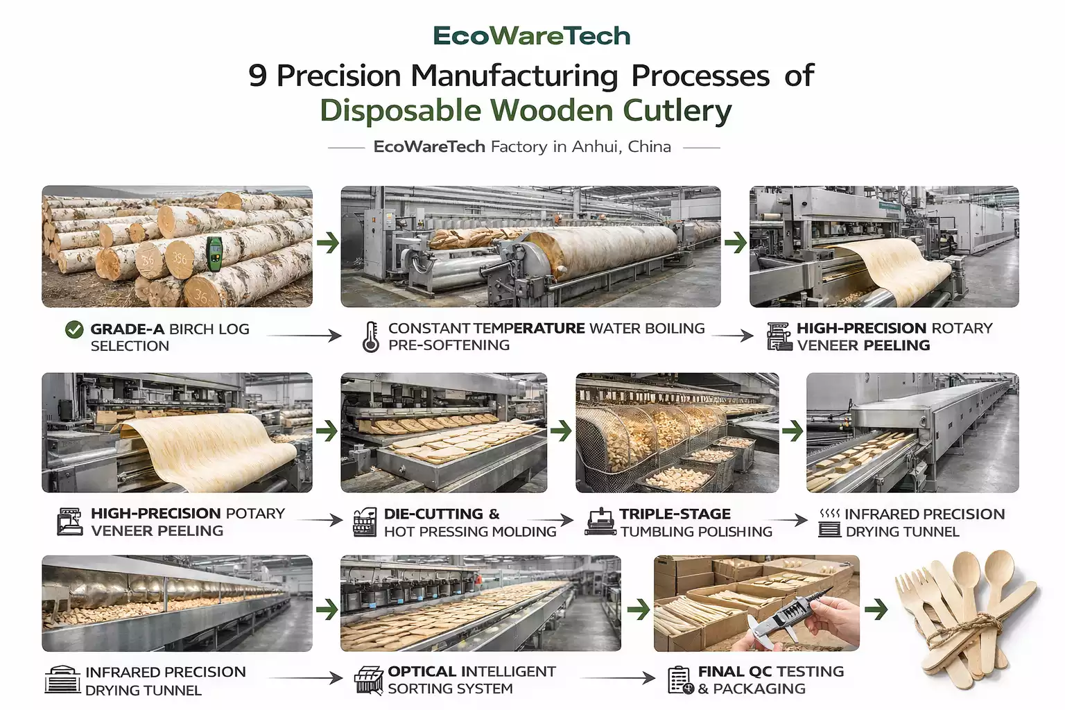 EcoWareTech 9 precision manufacturing processes for disposable wooden cutlery from raw birch logs to finished spoons
