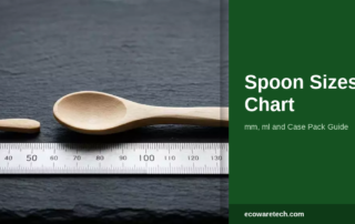 Two disposable wooden spoons of different sizes laid next to a ruler showing mm measurements