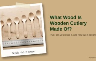 Birch wooden spoons of different lengths laid out beside a ruler, shown as an instant photo captioned birch veneer