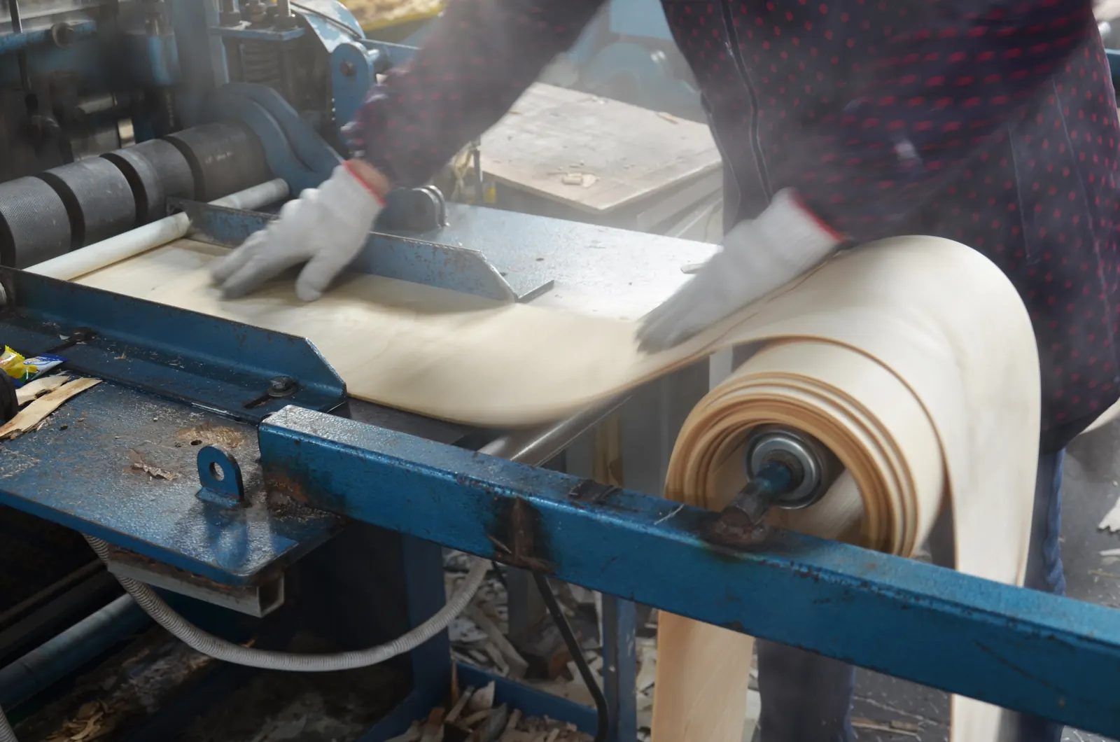 Worker handling a roll of peeled birch veneer