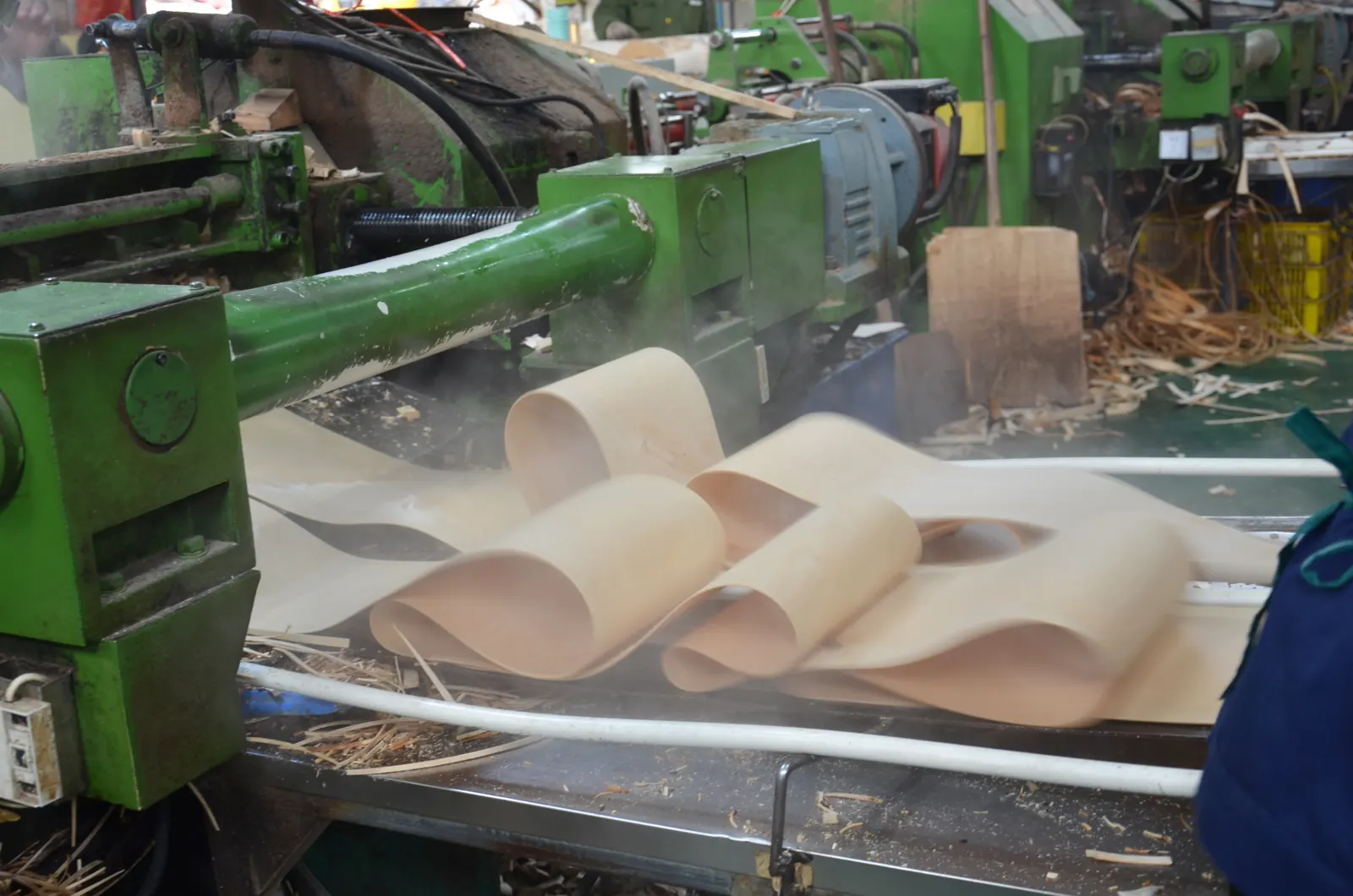 Rotary peeling birch logs into veneer for wooden cutlery Rotary peeling birch logs into veneer for wooden cutlery